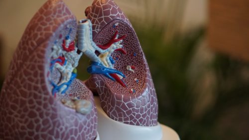 Бронхиальная астма: вызов медицине, проверка социуму