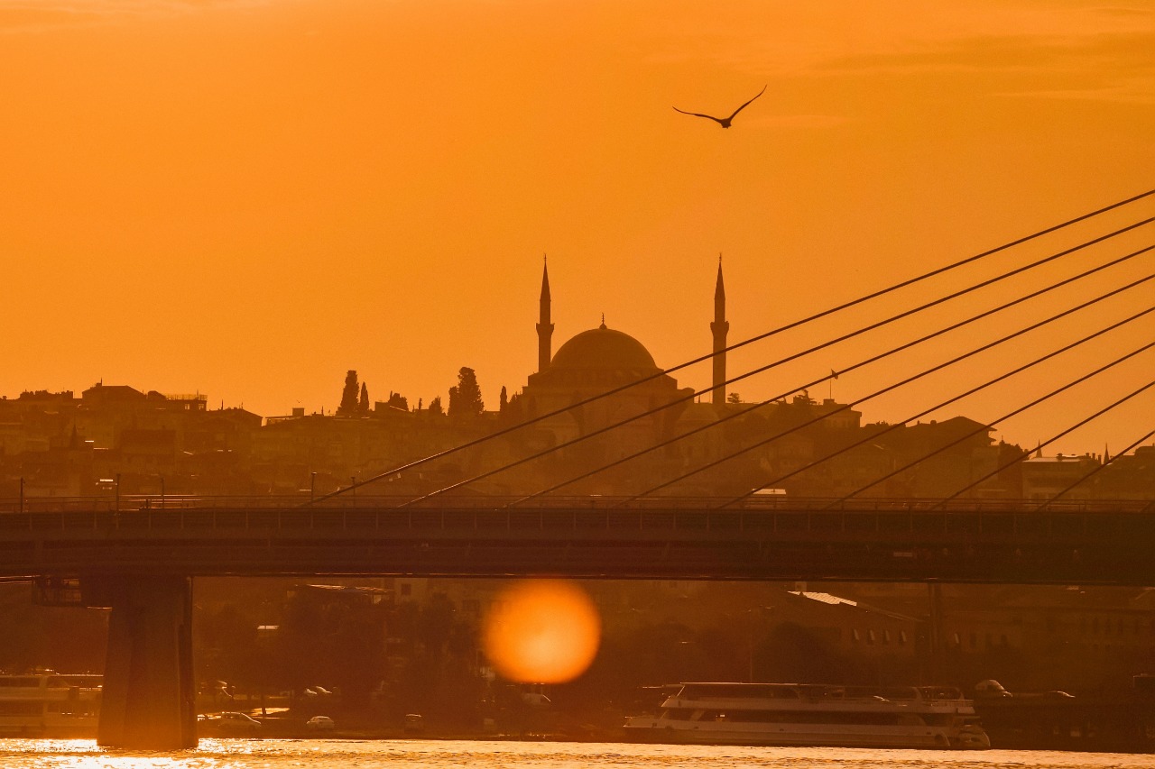 Всемирный конгресс в Стамбуле: как повернуть вспять «эпидемию аллергии»