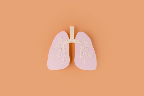 Всемирный день борьбы с астмой: цифровые технологии в помощь врачам
