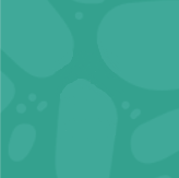 Доказательная база – прежде всего: эксперты об иммуномодулирующем препарате «Полимурамил»